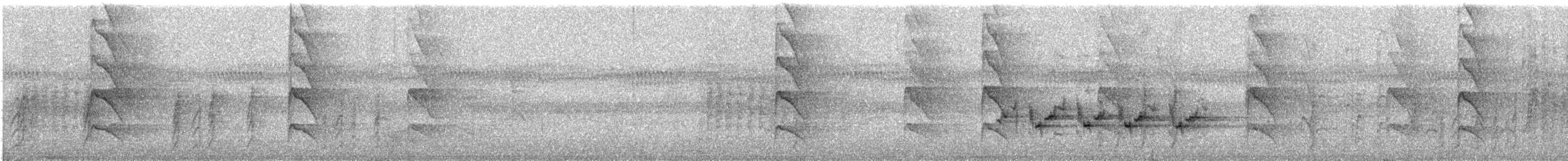 Gray-throated Barbet (Gray-headed) - ML309097711