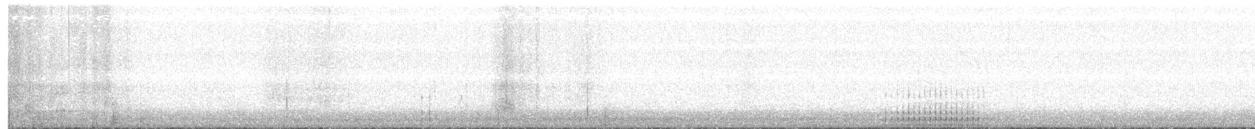 indianerspett (villosus gr.) - ML309108121