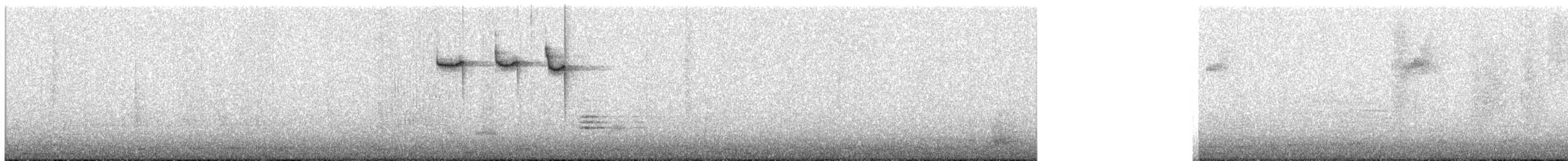 Чернохвостая комета - ML309111131