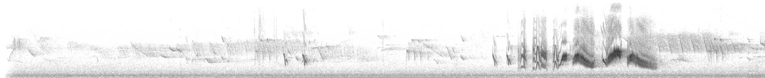 Tenerife Blue Chaffinch - ML309214