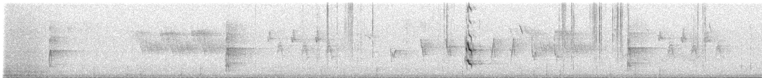 Tenerife Blue Chaffinch - ML309216