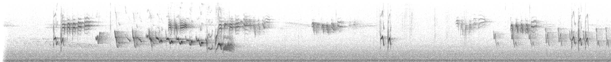 Gran Canaria Blue Chaffinch - ML309229