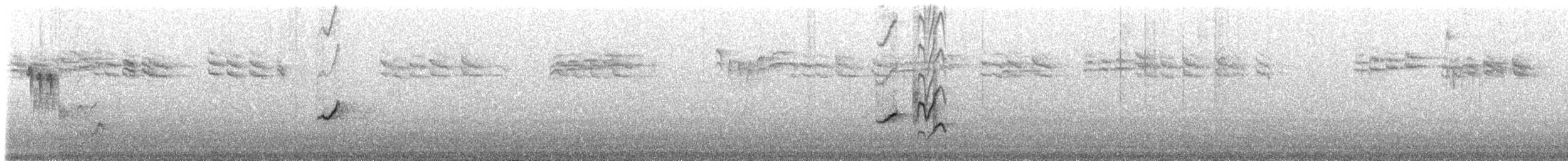 Gran Canaria Blue Chaffinch - ML309230