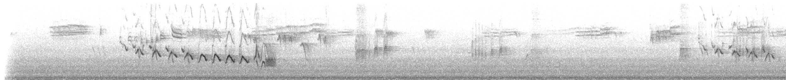 Gran Canaria Blue Chaffinch - ML309231