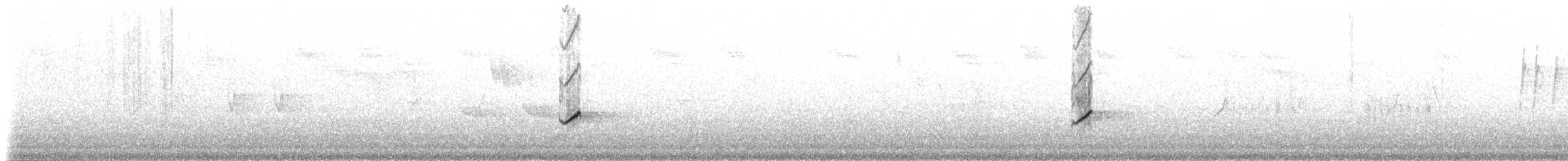Зяблик гран-канарський - ML309232