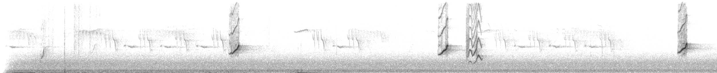 Gran Canaria Blue Chaffinch - ML309233