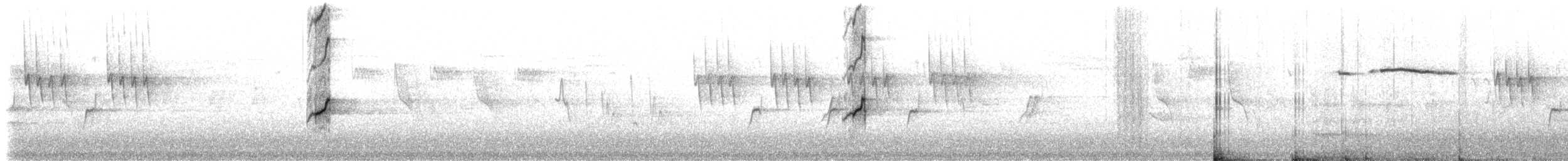 Gran Canaria Blue Chaffinch - ML309236