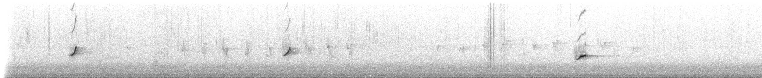 Gran Canaria Blue Chaffinch - ML309237