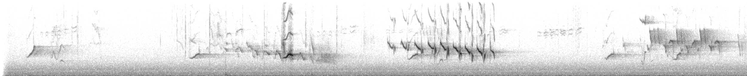 Gran Canaria Blue Chaffinch - ML309238