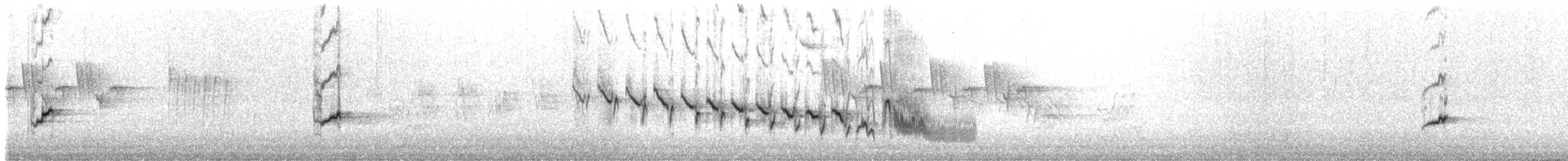 Gran Canaria Blue Chaffinch - ML309239