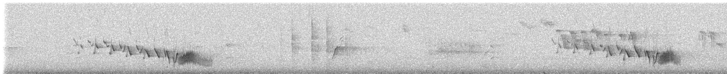 Канарский зяблик - ML309243