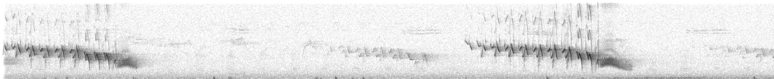 Зяблик гран-канарський - ML309248