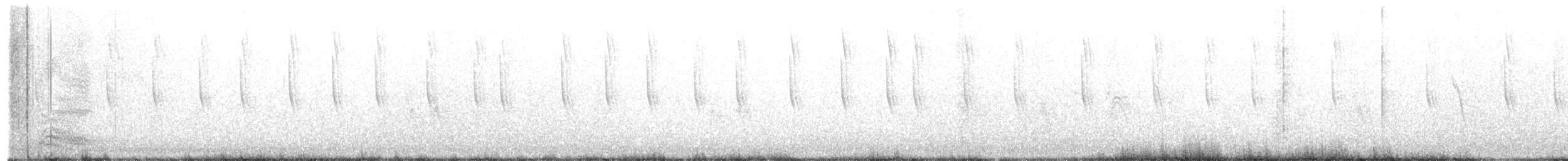 Широкохвостый колибри - ML309262801