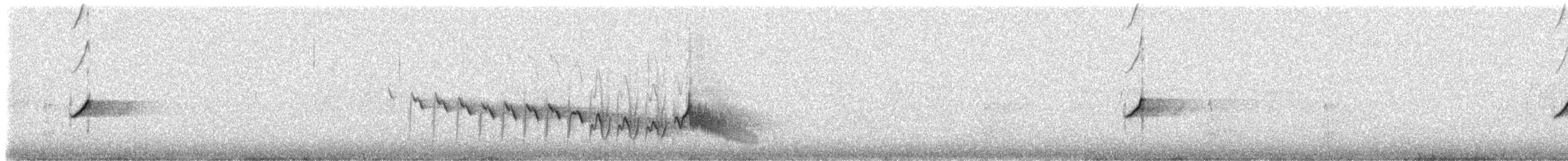 Канарский зяблик - ML309271