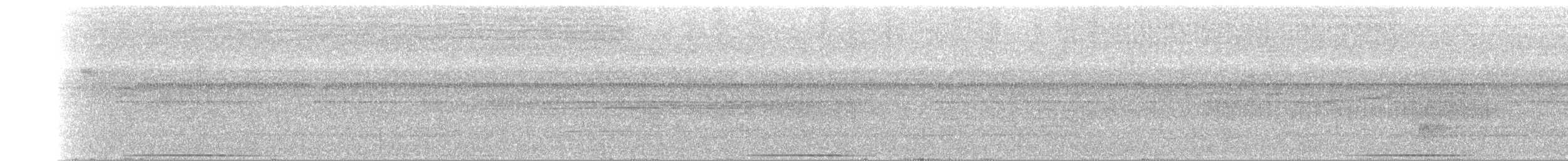gråpannedue - ML309350441