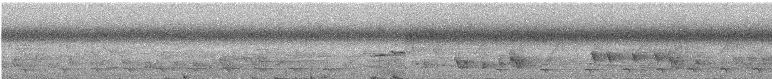Bar-tailed Trogon - ML309404451