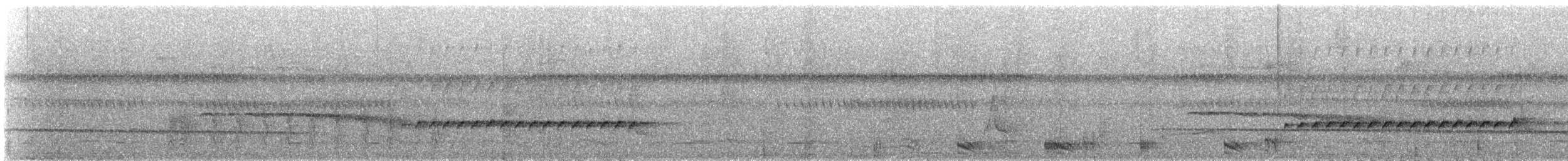 Schwarzschwanz-Degenschnäbler [melanurus-Gruppe] - ML309408