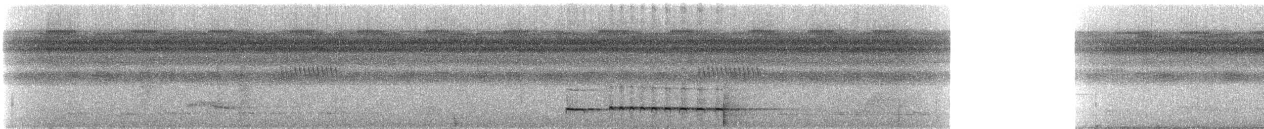 Graubrust-Ameisendrossel [analis-Gruppe] - ML309429