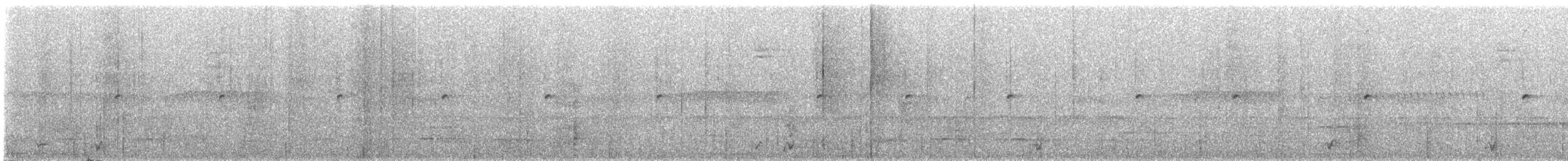 チャバラオオツリスドリ（yuracares／neivae） - ML309436