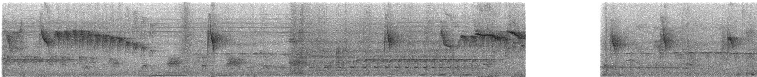 Ornate Stipplethroat (Eastern) - ML309454