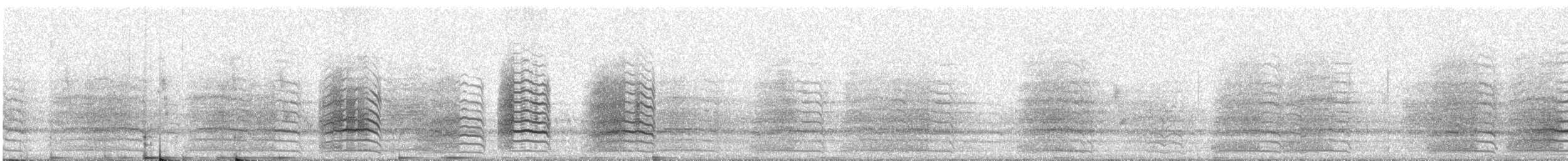 Little Corella - ML309480