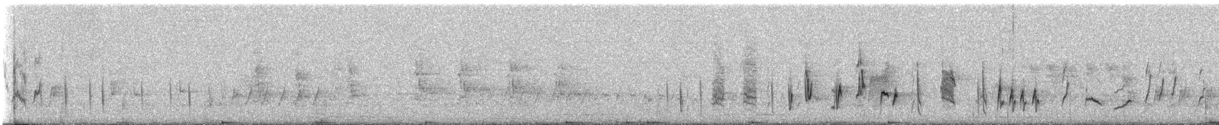 passerine sp. - ML309481