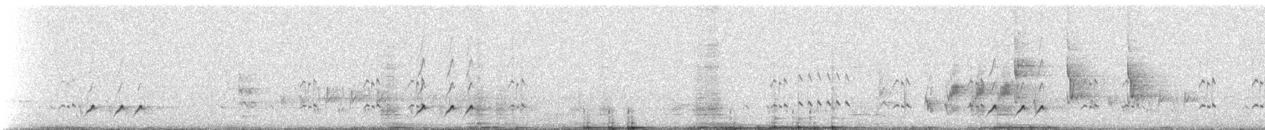 Striated Pardalote (Black-headed) - ML309483