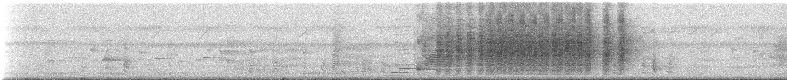 Spangled Drongo (Spangled) - ML309489