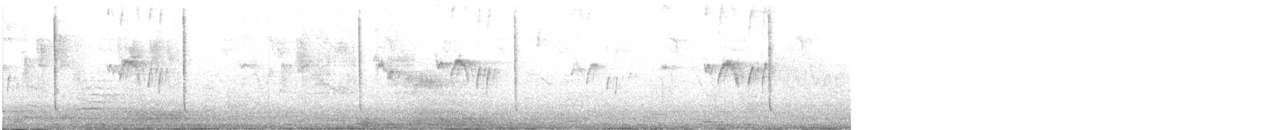 Antillean Crested Hummingbird - ML309490411