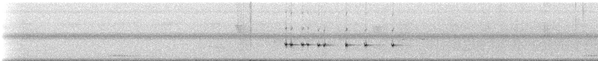 passerine sp. - ML309493