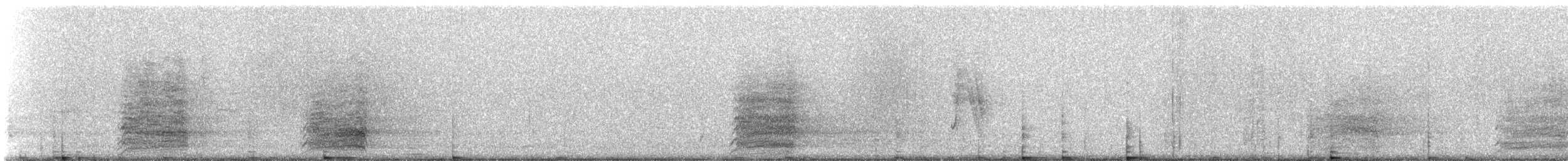 Red-tailed Black-Cockatoo - ML309494