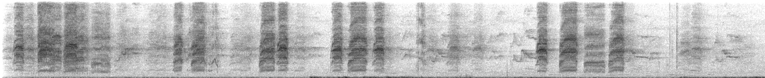 Rainbow Lorikeet - ML309495