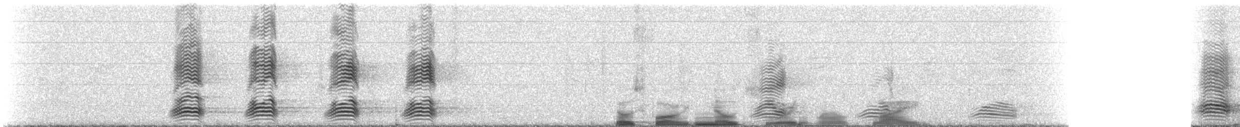 Australian Raven - ML309498