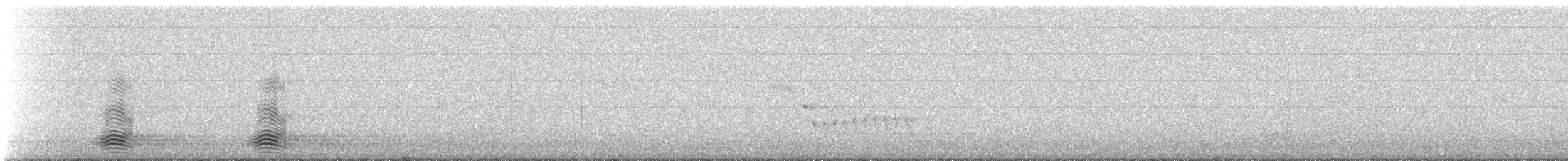 Australian Raven - ML309499