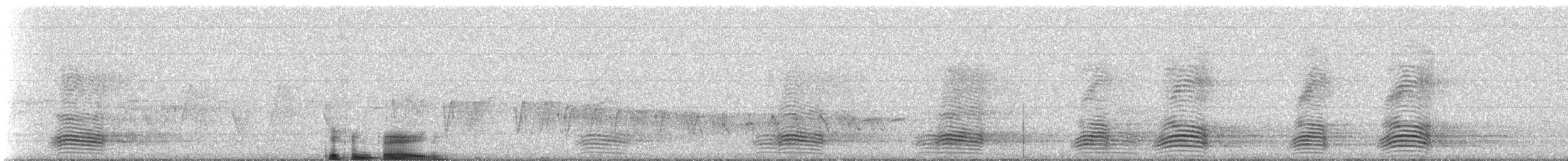 Australian Raven - ML309500