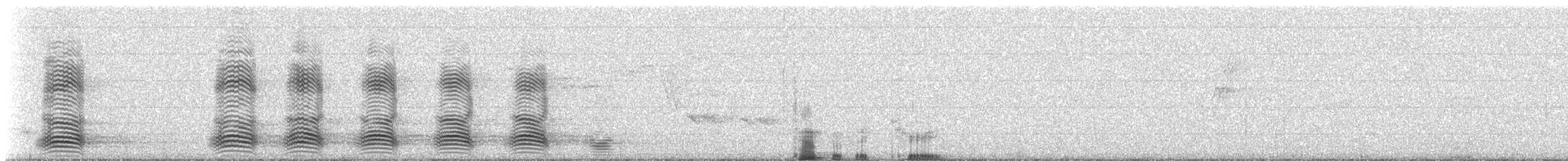 Australian Raven - ML309501