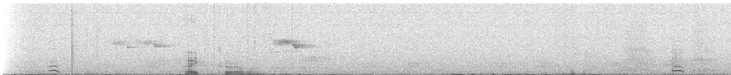 Pied Currawong - ML309503