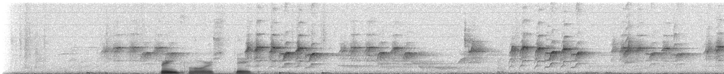 Australian Logrunner - ML309504