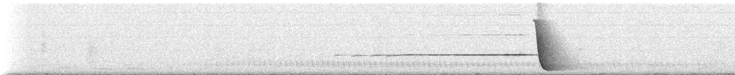 Eastern Whipbird - ML309506