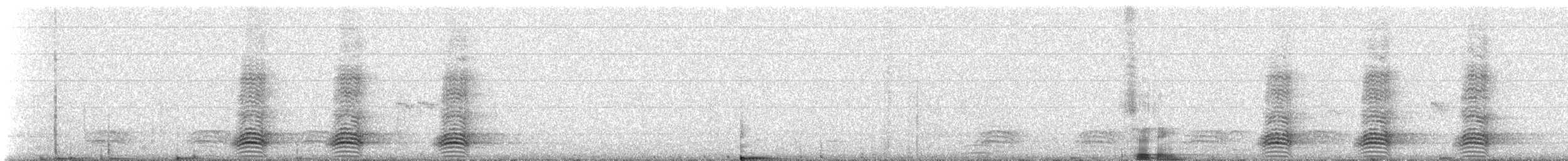 Australian Raven - ML309509