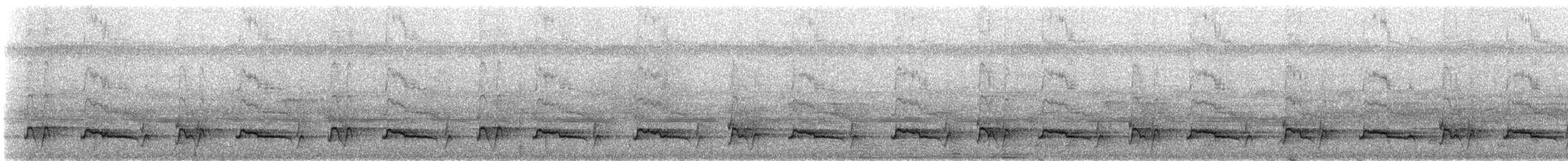 White-fronted Nunbird (White-fronted) - ML309581