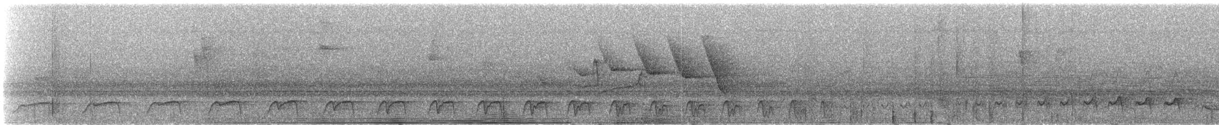 Spotted Puffbird - ML309585