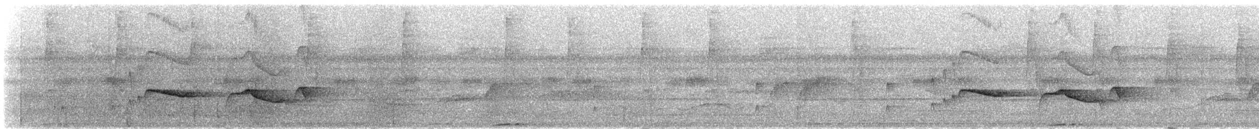 Ringed Antpipit - ML309590