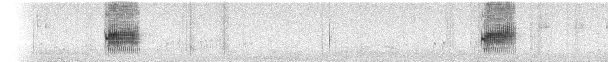 Тауї плямистий - ML309594451