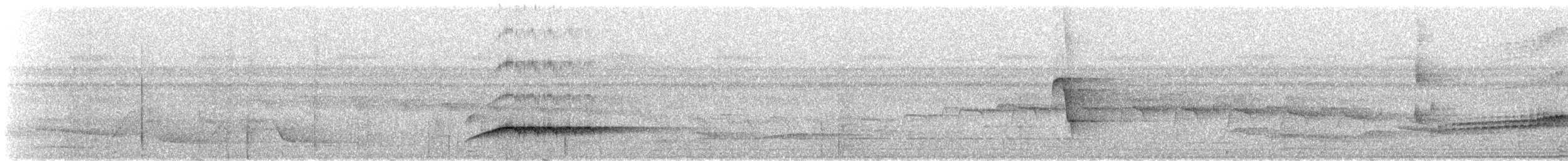 Lawrence's Thrush - ML309651