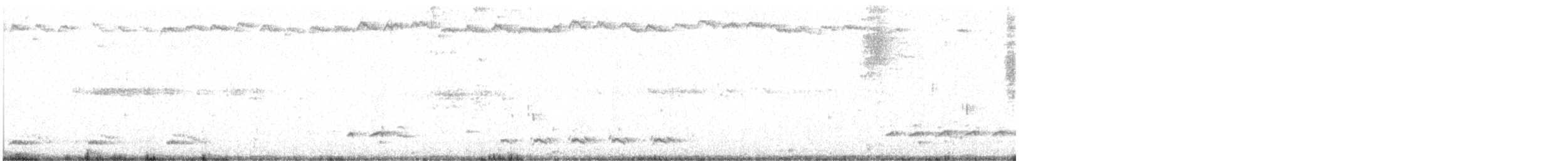 Weißbrustkleiber - ML309667481