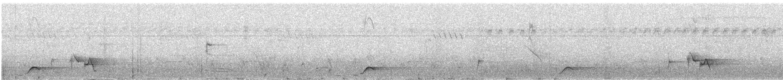 Black-tailed Oriole - ML309688491