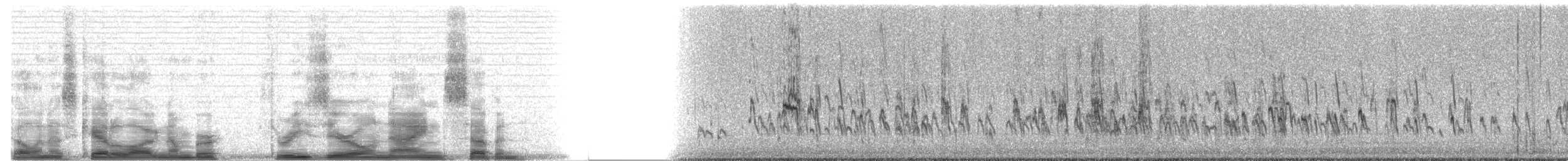 Gambecchio dell'Alaska - ML3097