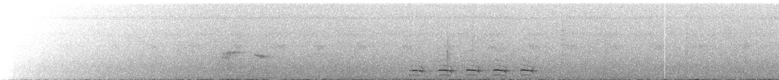 White-shouldered Antshrike - ML309741