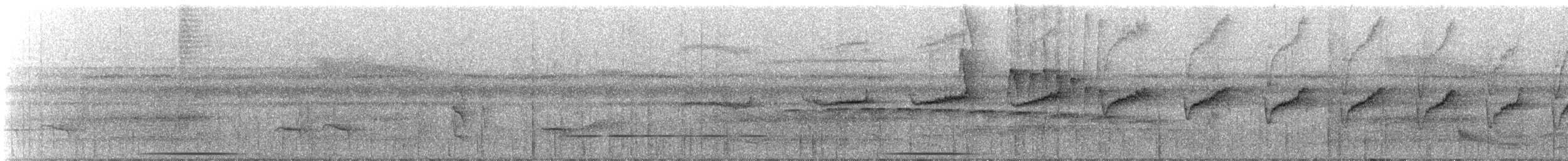 Ornate Stipplethroat - ML309798